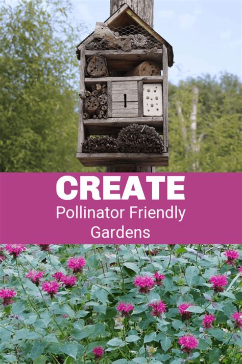 Attract Pollinators To Your Garden Gardening Channel