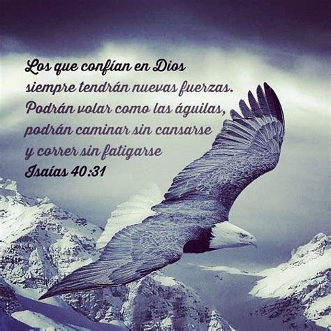 An Eagle Flying Over Snow Covered Mountains With A Bible Verse Written