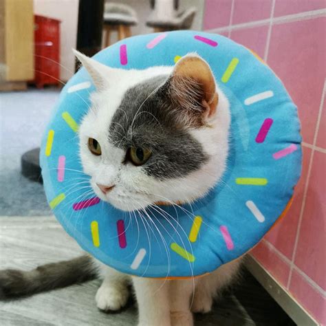 Cute Donut Recovery Collar For Cats And Puppies Soft Adjustable