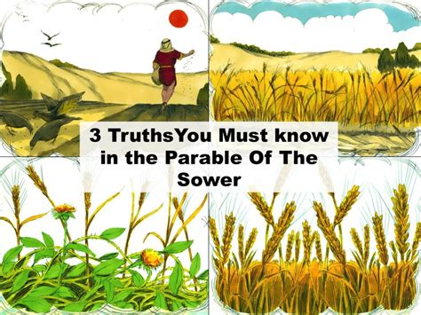 3 Truths You Must Know In The Parable Of The Sower Pnc Bible Reading