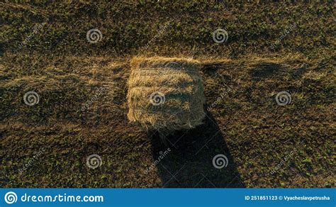 Aerial Top View Hay Bales At Agricultural Field In Summer At Sunset