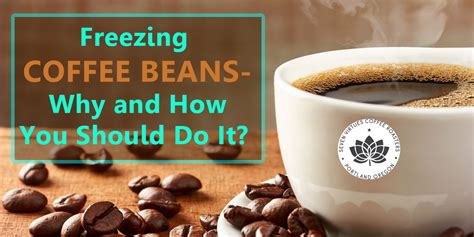 Freezing Coffee Beans Why And How You Should Do It Seven Virtues