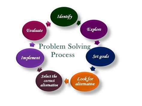 The Problem Solving Process