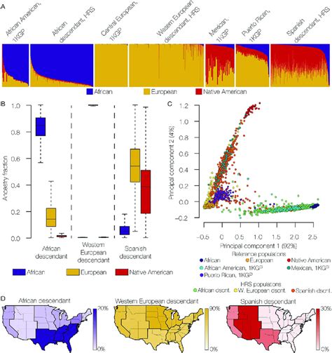 Genetic Ancestry Groups In The Modern Us Population A Admixture Plot