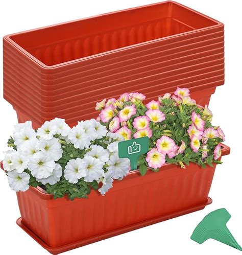 Amazon Com Growneer Packs Window Box Plastic Inches Red Flower