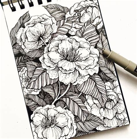 Botanical Line Drawing Flower Art Drawing Flower Sketches Floral