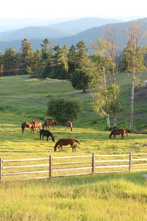 Pin By My Little Country Corner On The Farm Life Horses Horse Farms