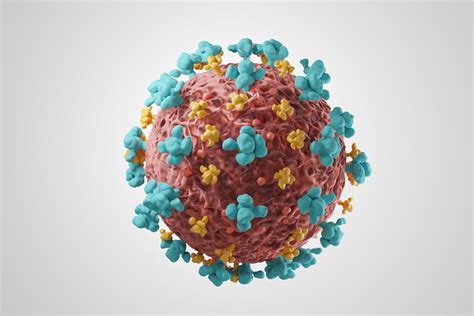 Human Coronavirus Oc43 Nucleoprotein The Native Antigen Company