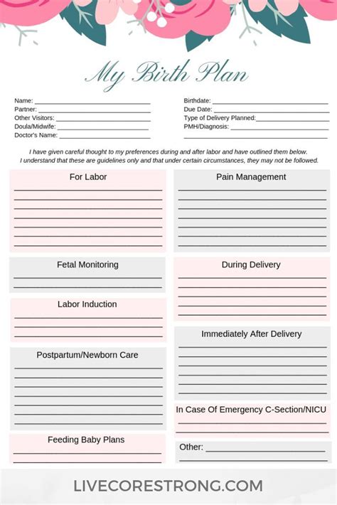 how to make the ultimate birth plan free one page template live core strong epidural birth