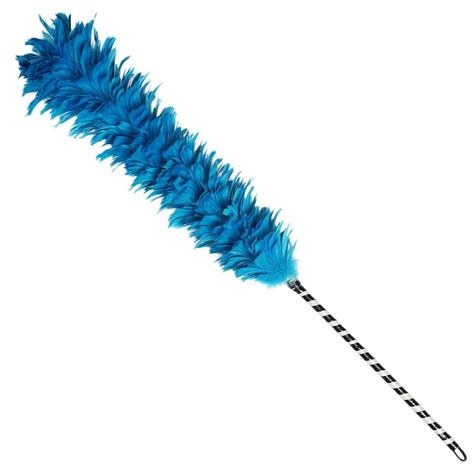 Clipart Feather Duster 10 Free Cliparts Download Images On Clipground
