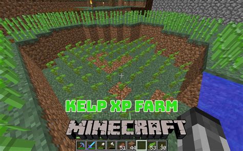 How To Make Kelp Xp Farm Minecraft 117