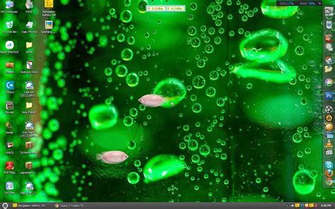 50 Fish Desktop Wallpaper Moving On Wallpapersafari