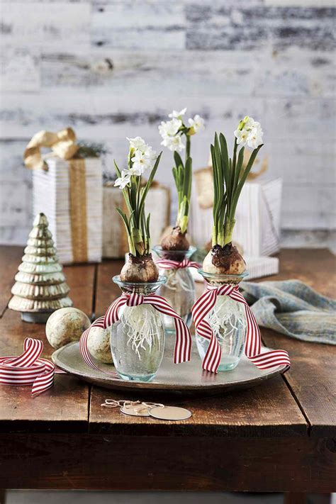 Paperwhite Bulb Ts Are Perfect For The Holidays Southern Living