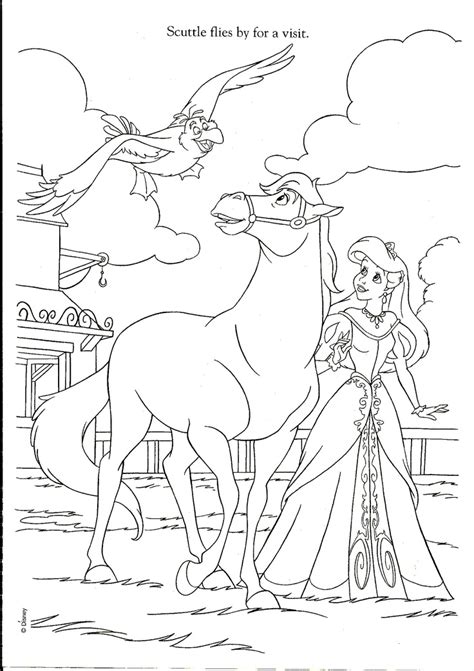 Pin by Taylor LeAnn on Coloring Pages | Horse coloring ...