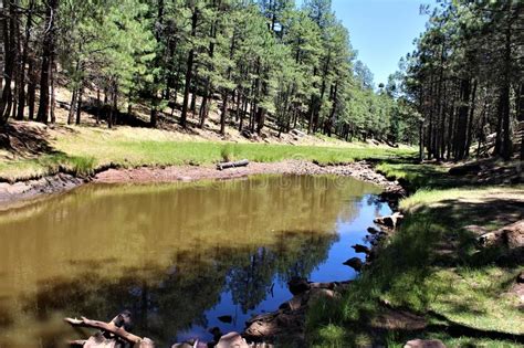 Woods Canyon Lake Coconino County Arizona United States Stock Image