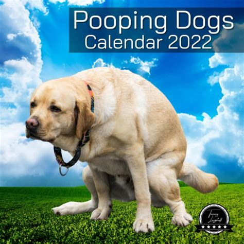 Buy Pooping Dogs Calendar 2022 Funny Calendar Pooping Animals 12