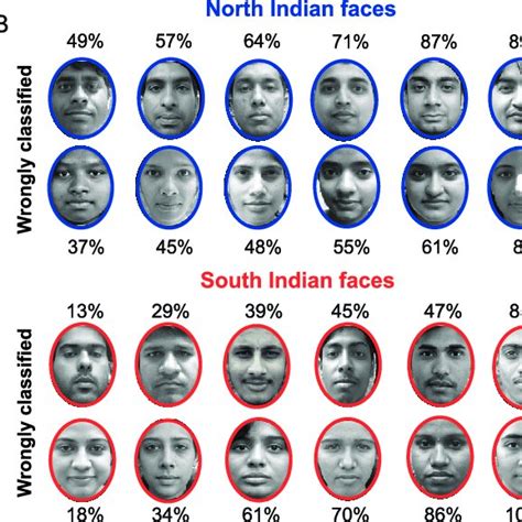 Definitions And Examples Of North And South Indian Faces A