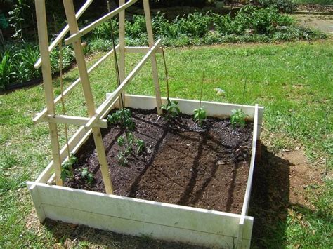Raised Bed Garden For Tomatoes Garden Design