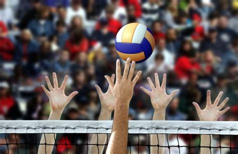 47000 Voleybol Stok Fotoğrafları Resimler Ve Royalty Free Görseller Istock