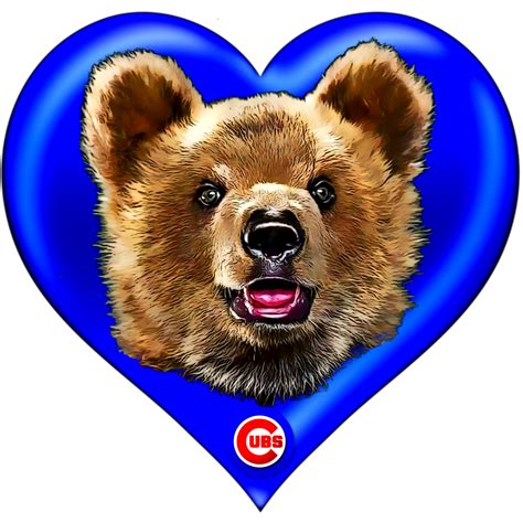 Bear Cubs Bears Chicago Cubs Baseball Cubs Fan World Series