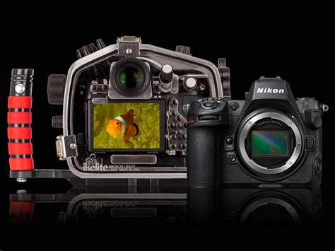 Nikon Z8 Underwater Housing Features And First Impressions Video
