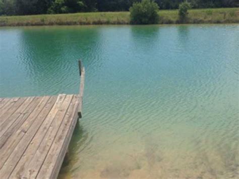 We did not find results for: Lake & Pond Clearing - Clearwater Consulting - Lake & Pond ...