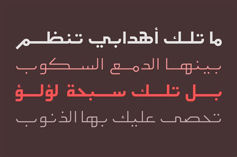 Etlalah Arabic Typeface By Arabic Font Store Thehungryjpeg Arabic My