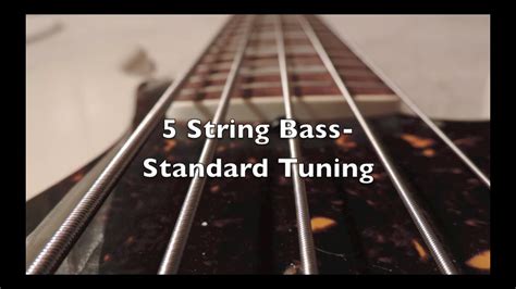 5 String Bass Standard Tuning Hd Youtube