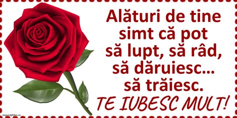 Felicitari Animate De Dragoste Cu Trandafiri