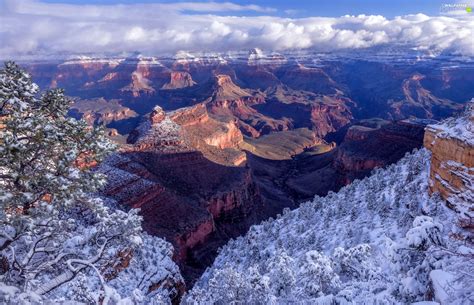 Canyon Snow State Of Arizona Grand Canyon National Park