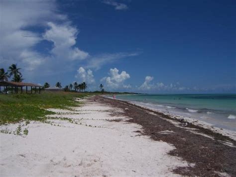 Pick from 5 hotels and other accommodations within 5 miles of bahia honda state park and beach, including these picks: Bahia Honda State Park, Big Pine Key, FL - GPS, Campsites ...