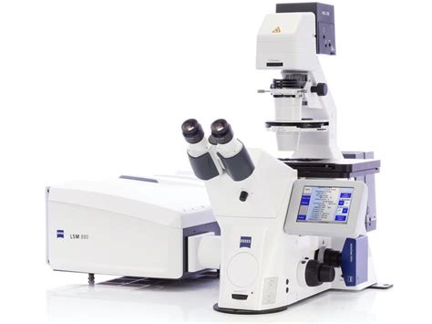 Zeiss Lsm 880 Confocal Laser Scanning Microscope Biomed Core