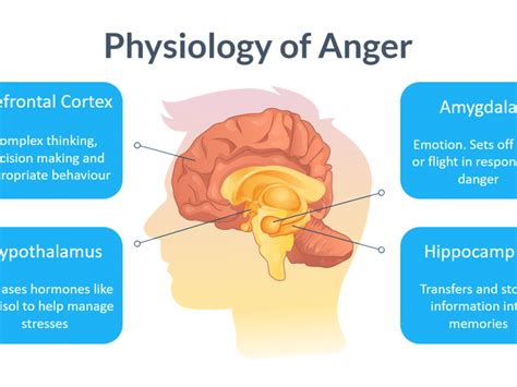 anger management training course materials training resources uk online