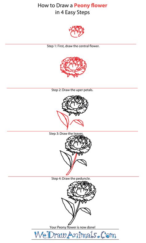 • 6,9 млн просмотров 4 года назад. How To Draw A Flower (Step By Step Image Guides)