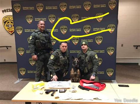 Harnett County Sheriff Department Inmatescompany Landing