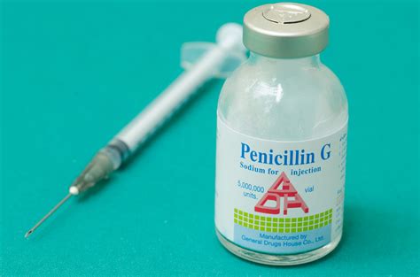 Who Discovered Penicillin Quiz Wonderopolis