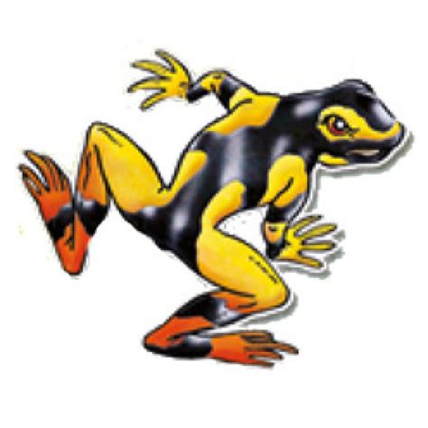 Golden Poison Frog Clipart Download Golden Poison Frog Clipart For