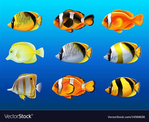 Different Kinds Of Fish Under The Ocean Royalty Free Vector