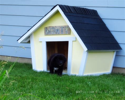 Find out which smaller, quieter animals can make a good choice for compact spaces. 12 DIY Dog House Ideas For Your Little Friend