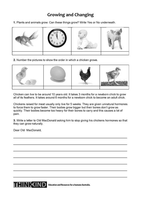 Whats Alive Living Things Worksheet Nsw Stage 1 Education