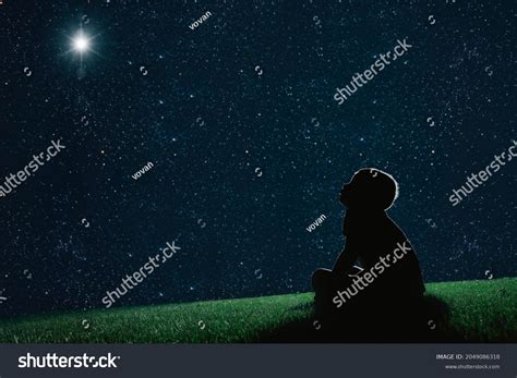 3011 Children Looking Night Sky Images Stock Photos And Vectors
