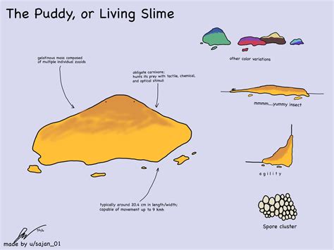 The Puddy Or Living Slime A Gelatinous Creature Commonly Kept As A