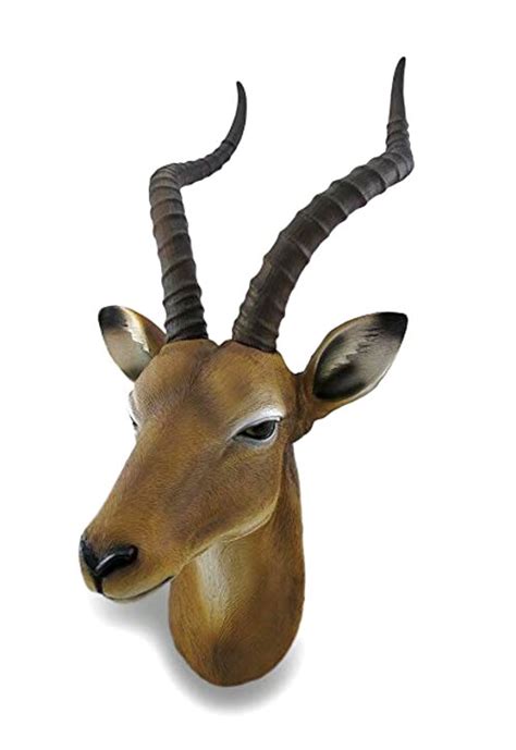 Antelope Head For Sale In Uk 15 Used Antelope Heads