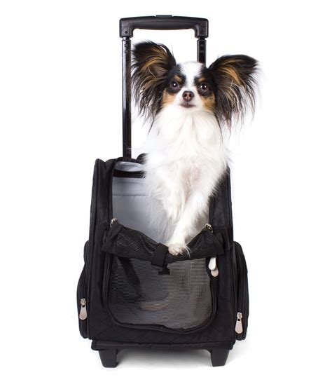 Travel with an approved transport company and route. Pet Transportation - Animal Allsorts