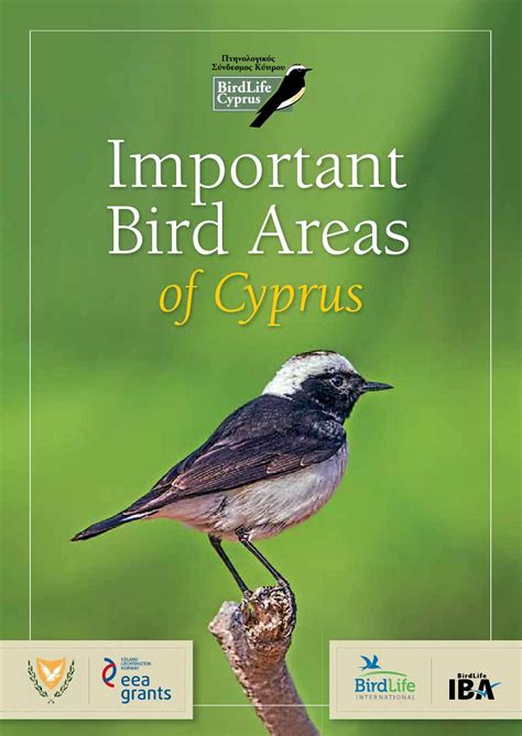 Important Bird Areas Of Cyprus By Birdlife Cyprus