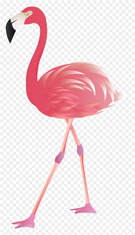 Flamingo Cartoon Clip Art