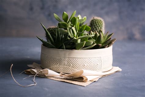 Phthalate, bpa and lead free. White Ceramic Planter Large Succulent planter pot Modern