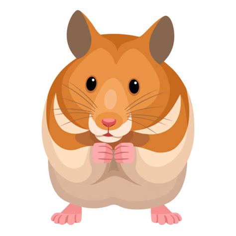 Hamster Illustrationen Und Vektorgrafiken Istock