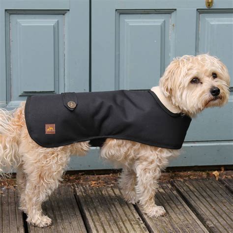 Waterproof Winter Dog Coat By Country And Twee
