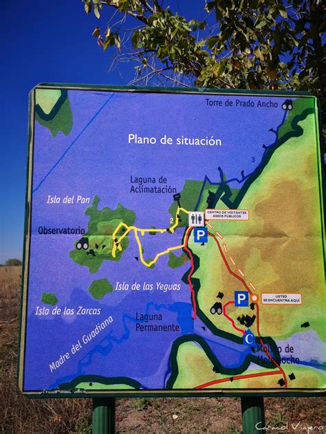 Parque Nacional Las Tablas De Daimiel Guía Rápida